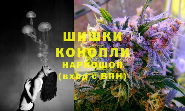 крисы Михайловка